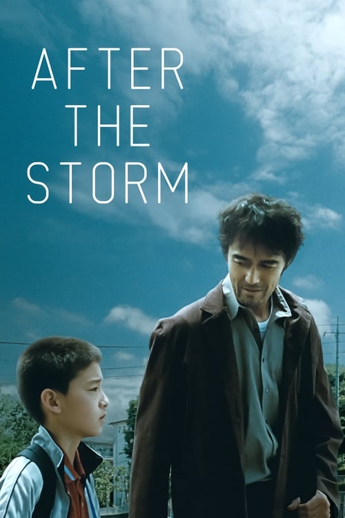 After the Storm (海よりもまだ深く) (2016)