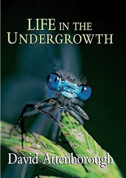 Life in the Undergrowth (2005)