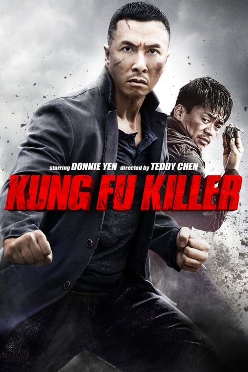 Kung Fu Jungle (一個人的武林) (2014)