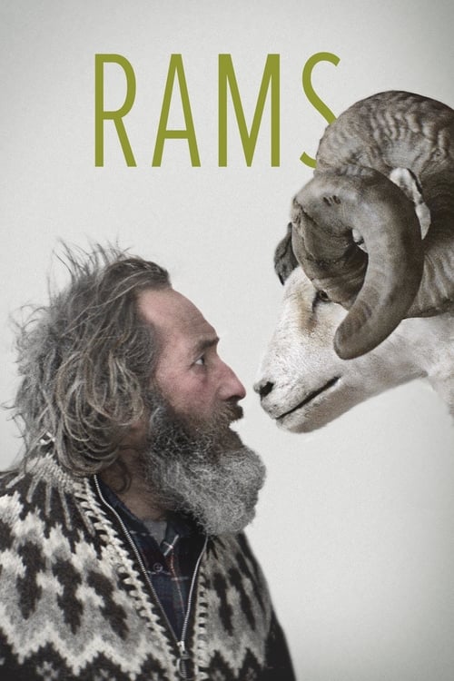 Rams (Hrútar) (2015)