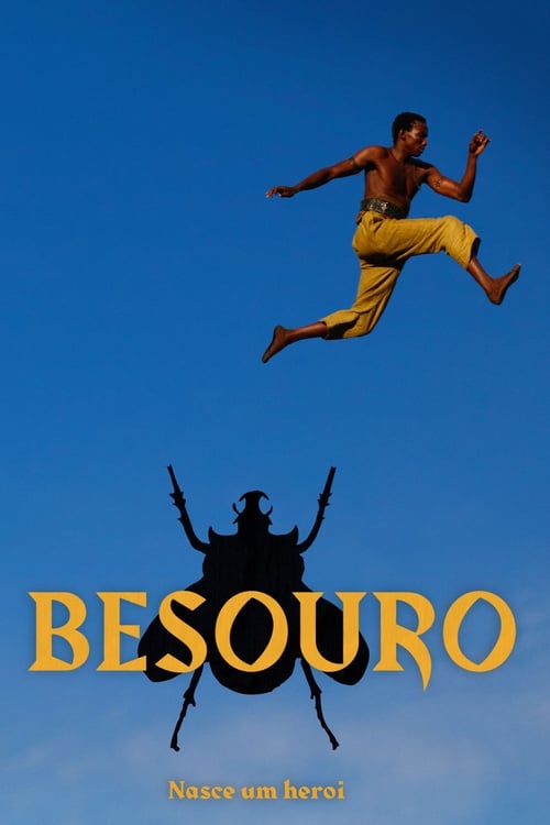 The Assailant (Besouro) (2009)