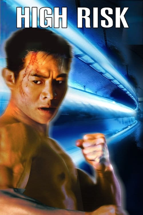 High Risk (鼠膽龍威) (1995)