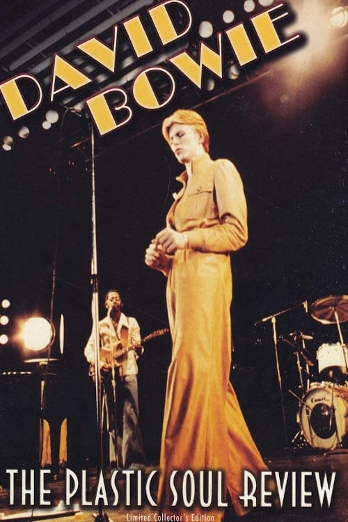 David Bowie - The Plastic Soul Review (2007)
