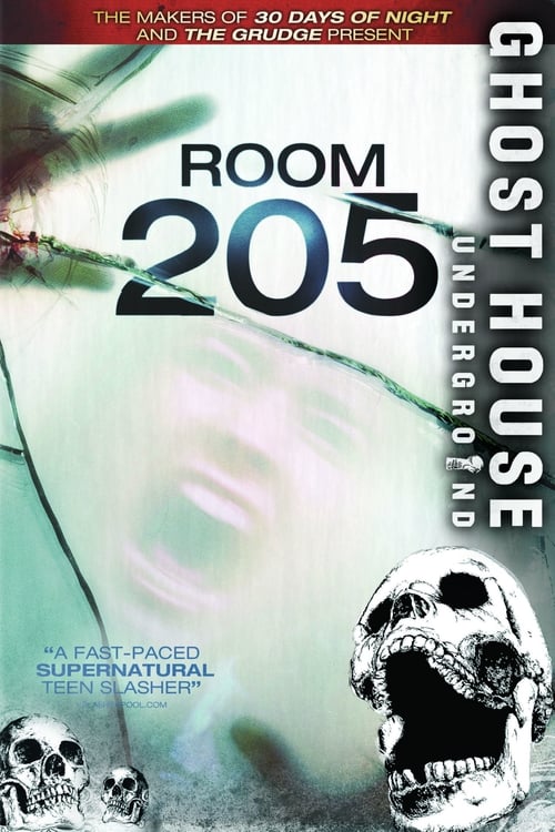 Room 205 (Kollegiet) (2007)