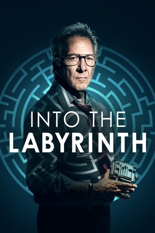 Into the Labyrinth (L'uomo del labirinto) (2019)