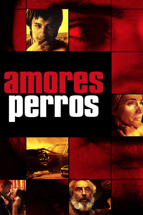 Amores Perros (Amores perros) (2000)