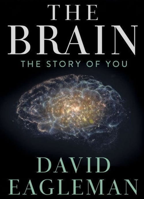 The Brain with David Eagleman (2015)