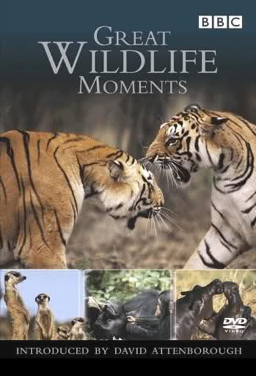 Great Wildlife Moments (2003)