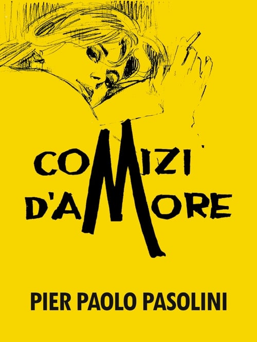 Love Meetings (Comizi d'amore) (1965)