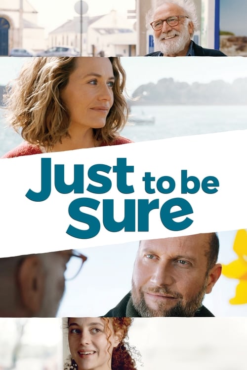 Just to Be Sure (Ôtez-moi d'un doute) (2017)