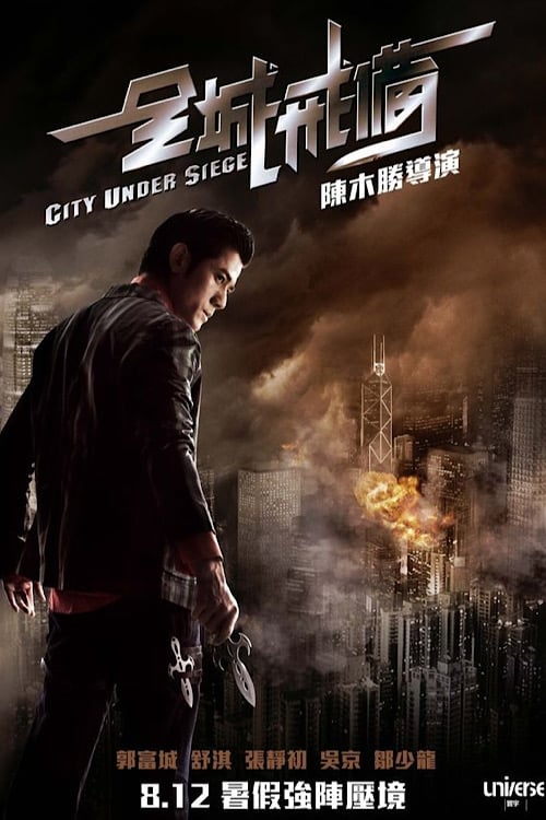 City Under Siege (全城戒備) (2010)