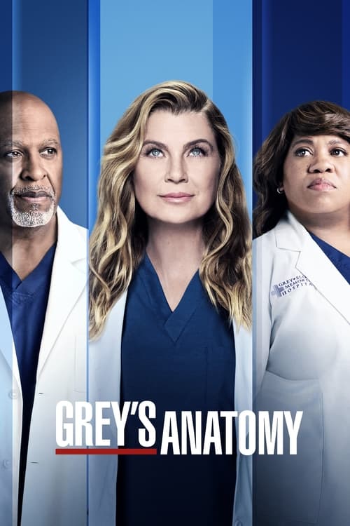Grey's Anatomy (2005)