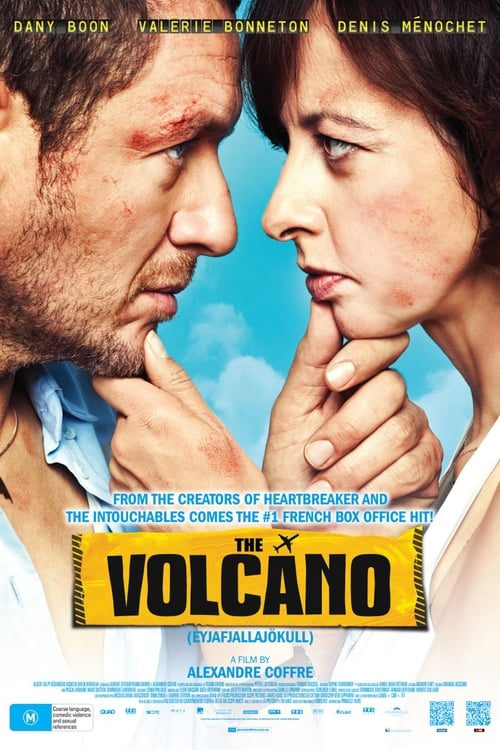 The Volcano (Eyjafjallajökull) (2013)